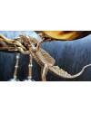 Настольный декор Lizard With Two Plates (арт.600496-00) ABHIKA