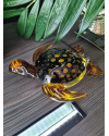 Настільний декор Turtle Glass ABHIKA