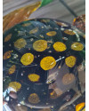 Настільний декор Turtle Glass ABHIKA