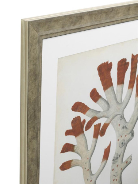 Print Antique red corals set of 6 67.5x57.5cm Eichholtz