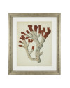 Print Antique red corals set of 6 67.5x57.5cm Eichholtz