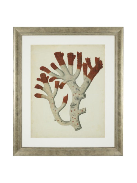 Print Antique red corals set of 6 67.5x57.5cm Eichholtz