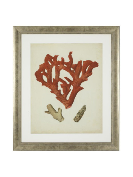 Print Antique red corals set of 6 67.5x57.5cm Eichholtz