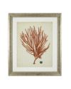 Print Antique red corals set of 6 67.5x57.5cm Eichholtz