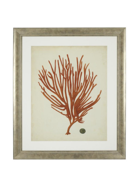 Print Antique red corals set of 6 67.5x57.5cm Eichholtz