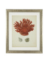 Print Antique red corals set of 6 67.5x57.5cm Eichholtz