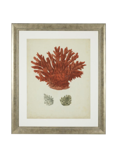 Print Antique red corals set of 6 67.5x57.5cm Eichholtz