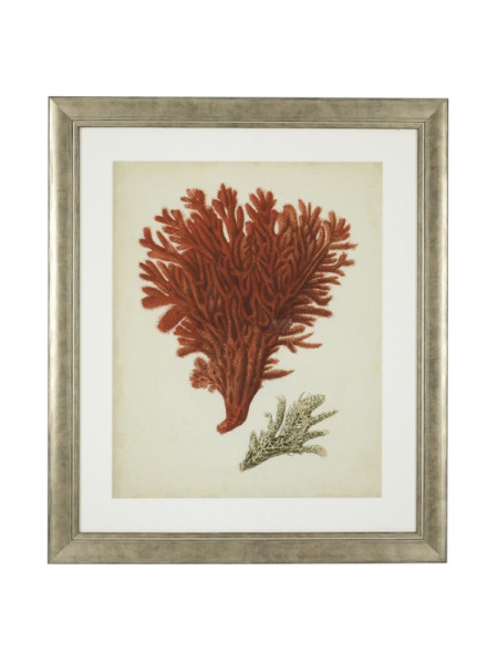Print Antique red corals set of 6 67.5x57.5cm Eichholtz