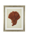 Print Antique red corals set of 6 67.5x57.5cm Eichholtz