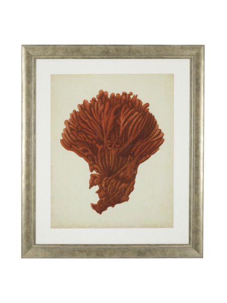 Print Antique red corals set of 6 67.5x57.5cm Eichholtz