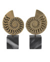 Настольный декор Eichholtz Ammonite set of 2 Eichholtz