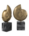 Настольный декор Eichholtz Ammonite set of 2 Eichholtz