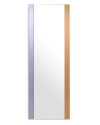 Mirror Cevio 220х80cm Eichholtz