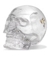 Настільний декор Diamond Skull L29cm (арт.PP0080) Philipp Plein
