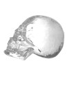 Настільний декор Diamond Skull L29cm (арт.PP0080) Philipp Plein