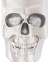 Настільний декор Platinum Skull S H20cm (арт.PP0202) Philipp Plein