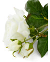 Букет Роз 72шт. Eichholtz real touch Ø70 Eichholtz