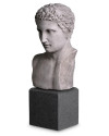 Бюст Roman Imperial H50cm (арт.TM0080) The MET