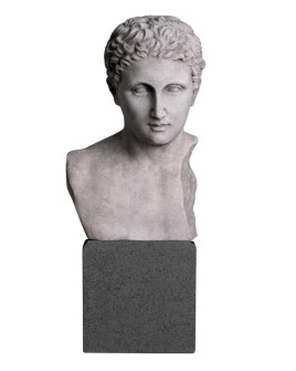 Бюст Roman Imperial H50cm (арт.TM0080)