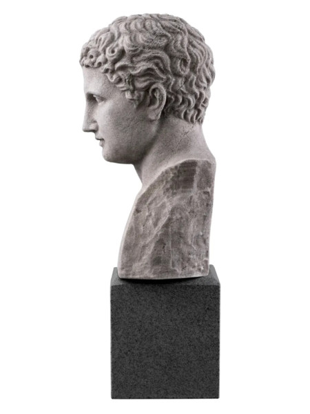Бюст Roman Imperial H50cm (арт.TM0080) The MET