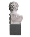 Бюст Roman Imperial H50cm (арт.TM0080) The MET