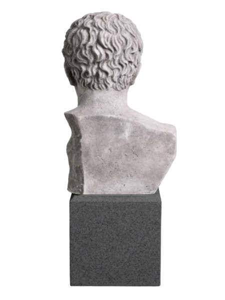 Бюст Roman Imperial H50cm (арт.TM0080) The MET