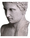 Бюст Roman Imperial H50cm (арт.TM0080) The MET