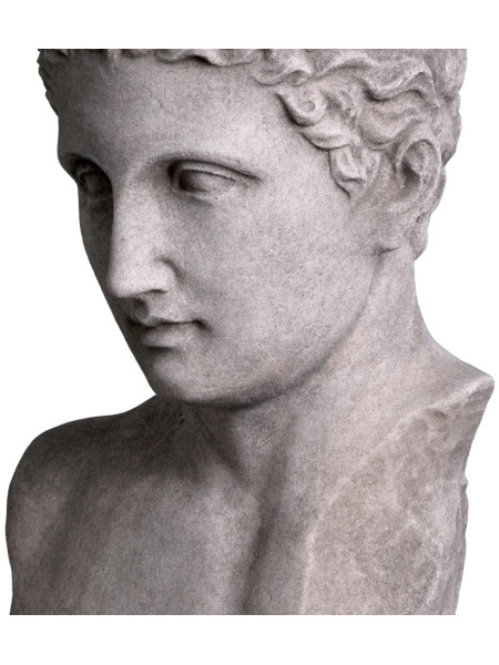 Бюст Roman Imperial H50cm (арт.TM0080) The MET