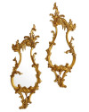 Mirrors Gould 2\set 30x80 (арт.TM0224) The MET