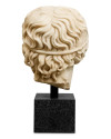 Бюст юнака H38cm (арт.TM0254) The MET