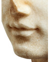 Бюст юнака H38cm (арт.TM0254) The MET