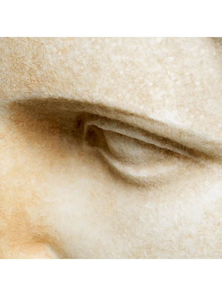 Бюст юнака H38cm (арт.TM0254) The MET