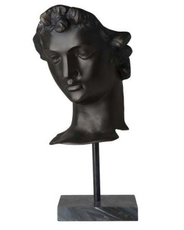 Голова Eichholtz David