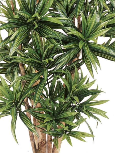 Искусственное растение Dracaena Reflexa / Драцена Рефлекса H150cm NKoop FW