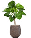 Artificial plant Alocasia Calidora H80cm NKoop FW