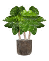 Artificial plant Alocasia Calidora H80cm NKoop FW