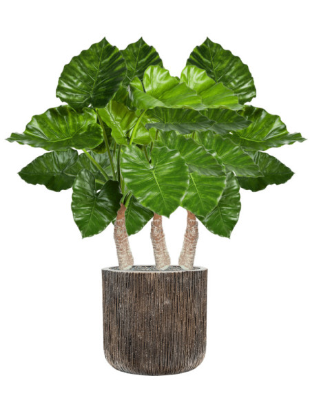 Artificial plant Alocasia Calidora H80cm NKoop FW