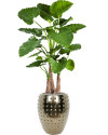Искусственное растение Alocasia Calidora / Алоказия Калидора H120cm NKoop FW