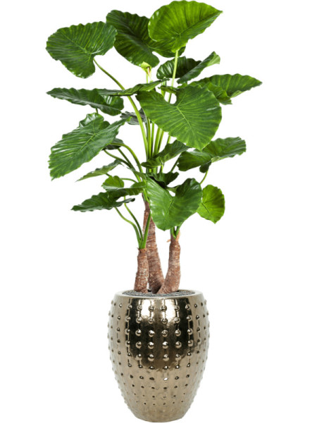 Искусственное растение Alocasia Calidora / Алоказия Калидора H120cm NKoop FW