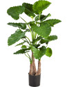 Искусственное растение Alocasia Calidora / Алоказия Калидора H120cm NKoop FW