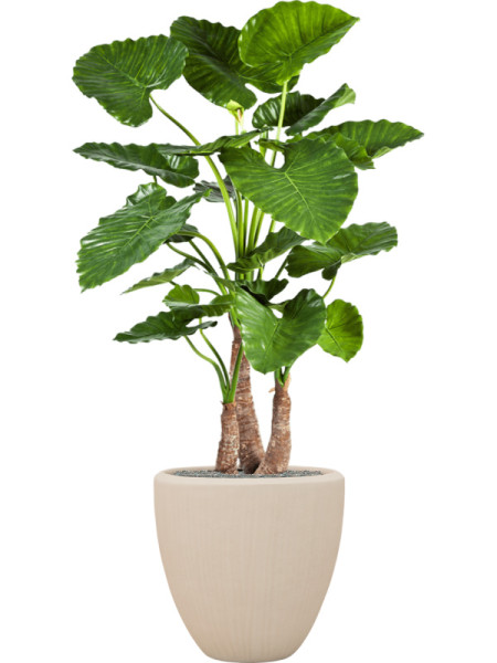 Искусственное растение Alocasia Calidora / Алоказия Калидора H120cm NKoop FW