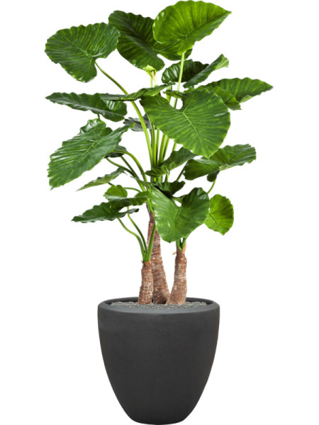 Искусственное растение Alocasia Calidora / Алоказия Калидора H120cm NKoop FW