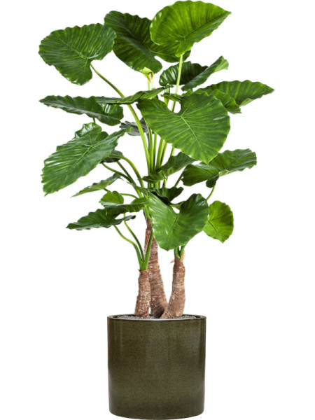 Искусственное растение Alocasia Calidora / Алоказия Калидора H120cm NKoop FW