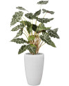 Искусственное растение Alocasia / Алоказия H110cm NKoop FW