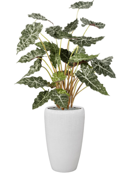 Искусственное растение Alocasia / Алоказия H110cm NKoop FW