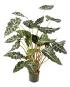 Искусственное растение Alocasia / Алоказия H110cm NKoop FW