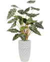 Искусственное растение Alocasia / Алоказия H110cm NKoop FW