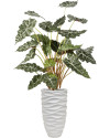 Искусственное растение Alocasia / Алоказия H110cm NKoop FW