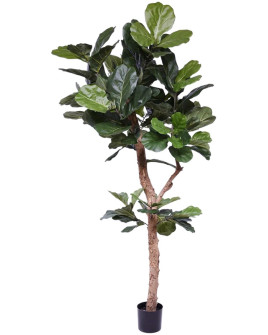 Искусственное растение Ficus Lyrata / Фикус Лирата H210cm