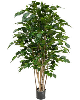 Искусственное растение Ficus Benjamina Exotica / Фикус Бенджамина H120cm